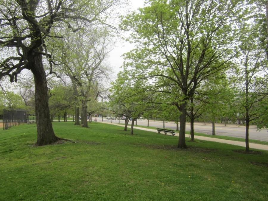 A view back toward Mount Carmel from the Jackson Park site at 63rd and Stony Island