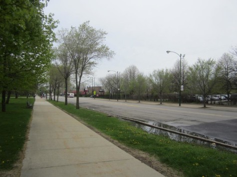 The view back to MC from the proposed site in Jackson Park